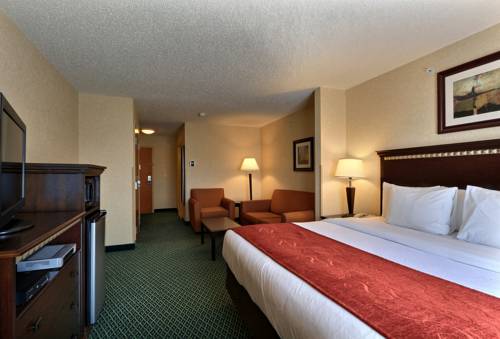 Imagen de la habitación del Hotel Comfort Suites Canton. Foto 3