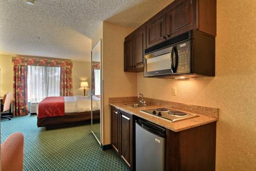 Imagen de la habitación del Hotel Comfort Suites Canton. Foto 6