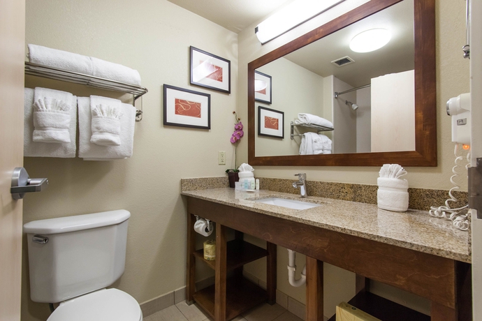 Imagen de la habitación del Hotel Comfort Suites Central/i-44. Foto 11