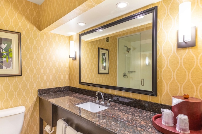 Imagen de la habitación del Hotel Comfort Suites Chesapeake - Norfolk. Foto 9