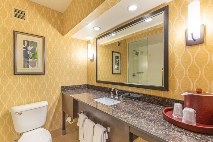 Imagen de la habitación del Hotel Comfort Suites Chesapeake - Norfolk. Foto 11