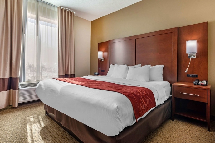 Imagen de la habitación del Hotel Comfort Suites Cincinnati Airport. Foto 6