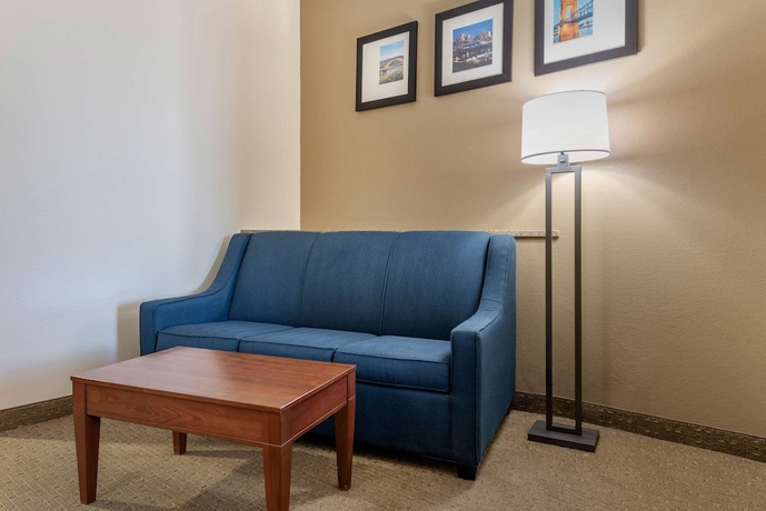 Imagen de la habitación del Hotel Comfort Suites Cincinnati Airport. Foto 16
