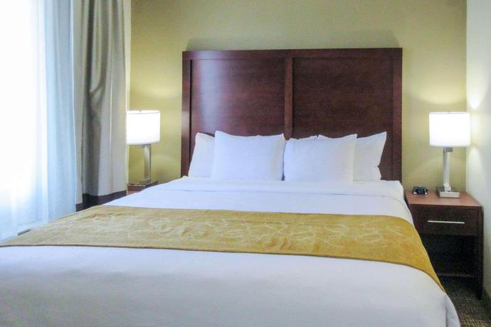 Imagen de la habitación del Hotel Comfort Suites Clarksville. Foto 6