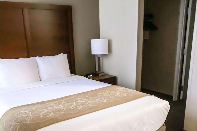 Imagen de la habitación del Hotel Comfort Suites Clarksville. Foto 13