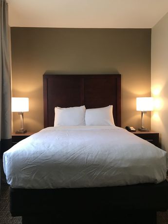 Imagen de la habitación del Hotel Comfort Suites, Clarksville. Foto 6