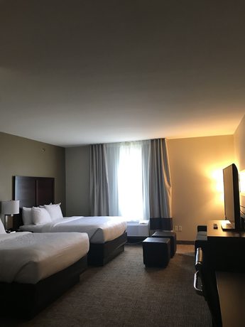 Imagen de la habitación del Hotel Comfort Suites, Clarksville. Foto 8