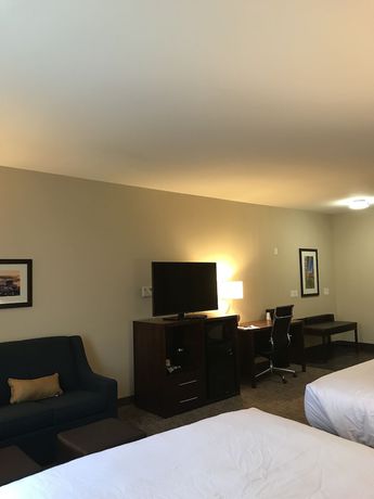 Imagen de la habitación del Hotel Comfort Suites, Clarksville. Foto 11