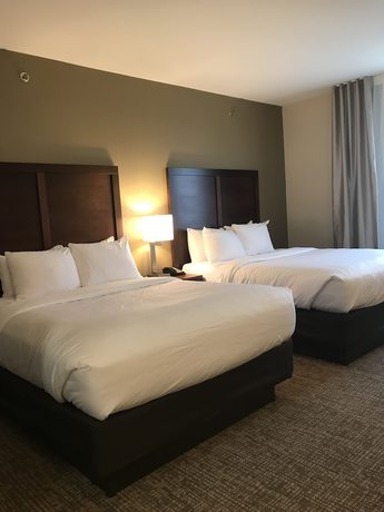 Imagen de la habitación del Hotel Comfort Suites, Clarksville. Foto 13