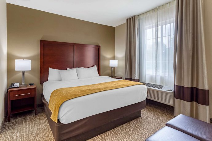 Imagen de la habitación del Hotel Comfort Suites, Clarksville. Foto 14