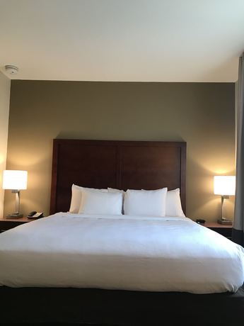 Imagen de la habitación del Hotel Comfort Suites, Clarksville. Foto 15