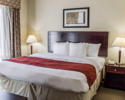 Imagen de la habitación del Hotel Comfort Suites Clayton - Garner. Foto 8