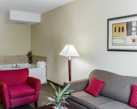 Imagen de la habitación del Hotel Comfort Suites Clayton - Garner. Foto 9