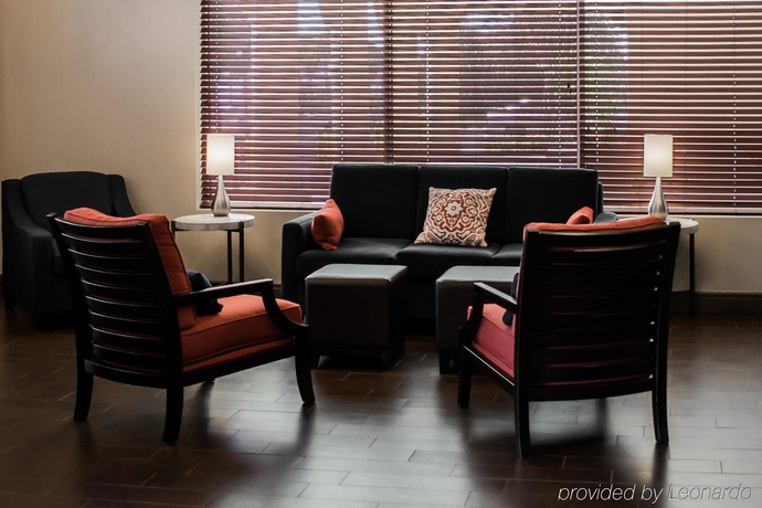Imagen general del Hotel Comfort Suites Clearwater - Dunedin. Foto 5