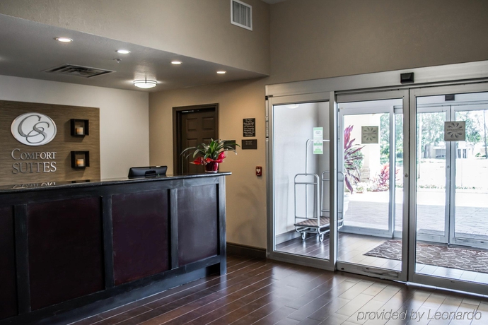 Imagen general del Hotel Comfort Suites Clearwater - Dunedin. Foto 6