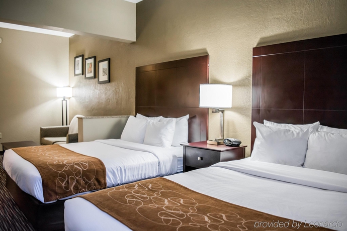 Imagen general del Hotel Comfort Suites Clearwater - Dunedin. Foto 8