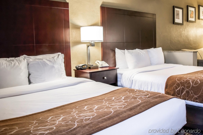 Imagen general del Hotel Comfort Suites Clearwater - Dunedin. Foto 10