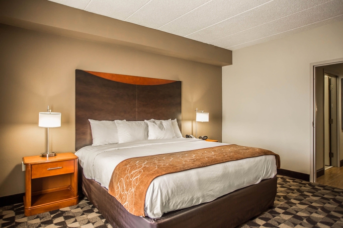 Imagen de la habitación del Hotel Comfort Suites Columbia At Harbison. Foto 3