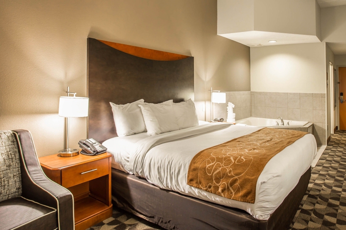 Imagen de la habitación del Hotel Comfort Suites Columbia At Harbison. Foto 5