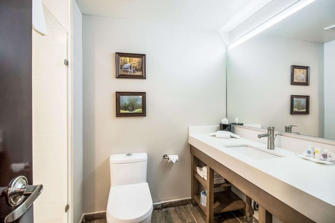 Imagen de la habitación del Hotel Comfort Suites, Columbia. Foto 7