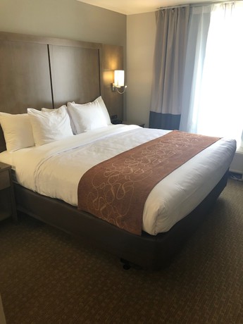 Imagen de la habitación del Hotel Comfort Suites, Columbia. Foto 9