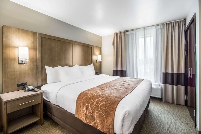 Imagen de la habitación del Hotel Comfort Suites, Columbia. Foto 10