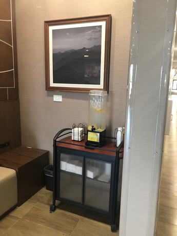 Imagen de los interiores del Hotel Comfort Suites, Columbia. Foto 16