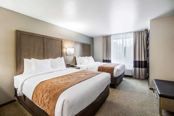 Imagen de la habitación del Hotel Comfort Suites, Columbia. Foto 12