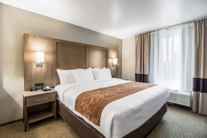 Imagen de la habitación del Hotel Comfort Suites, Columbia. Foto 14