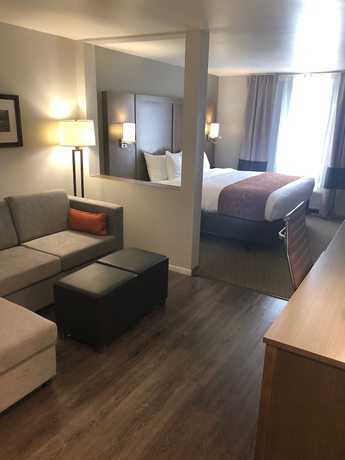 Imagen de la habitación del Hotel Comfort Suites, Columbia. Foto 15