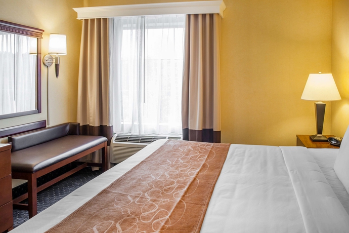 Imagen de la habitación del Hotel Comfort Suites Columbia Gateway. Foto 5