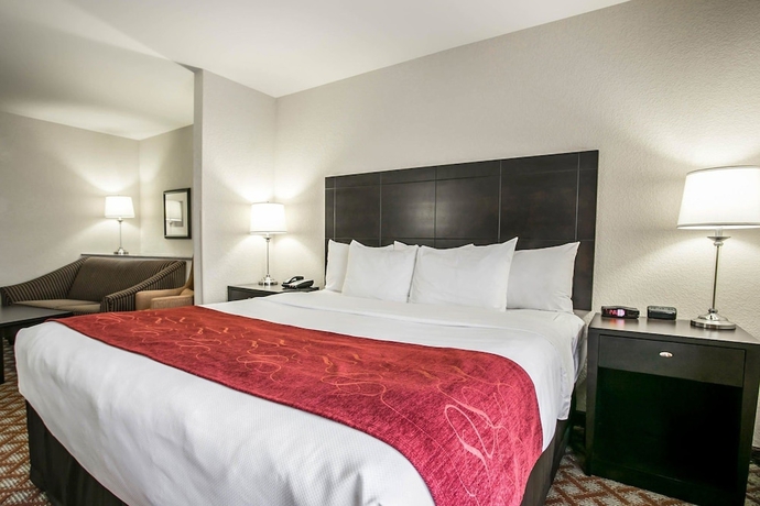 Imagen de la habitación del Hotel Comfort Suites Columbia Northeast - Fort Jackson. Foto 2