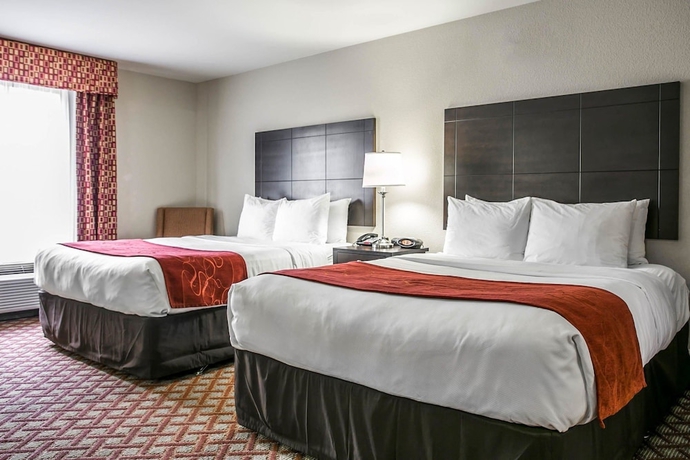 Imagen de la habitación del Hotel Comfort Suites Columbia Northeast - Fort Jackson. Foto 4