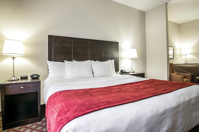 Imagen de la habitación del Hotel Comfort Suites Columbia Northeast - Fort Jackson. Foto 6