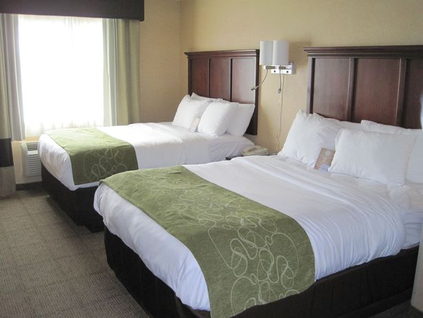 Imagen de los interiores del Hotel Comfort Suites Columbia - University Area. Foto 11