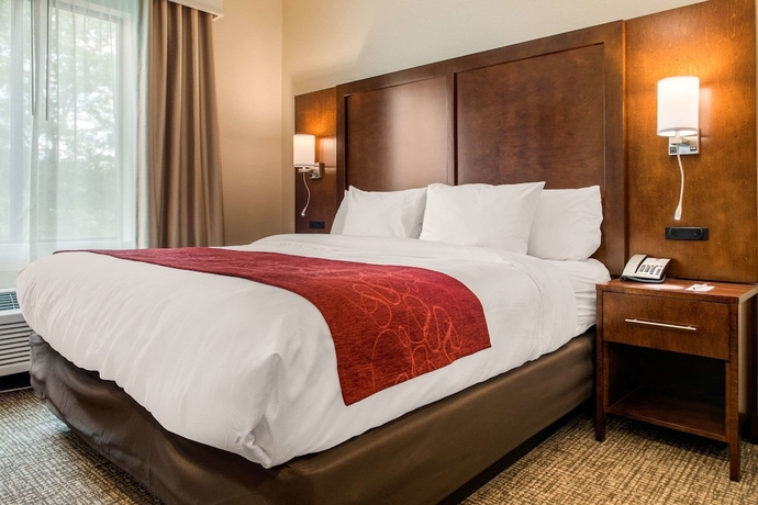 Imagen de la habitación del Hotel Comfort Suites Columbus Airport. Foto 6