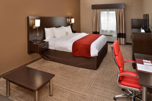 Imagen de la habitación del Hotel Comfort Suites Columbus. Foto 8