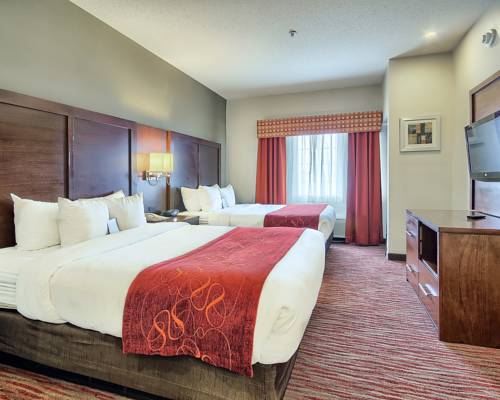 Imagen de la habitación del Hotel Comfort Suites, Columbus. Foto 2