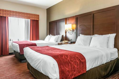 Imagen de la habitación del Hotel Comfort Suites, Columbus. Foto 5