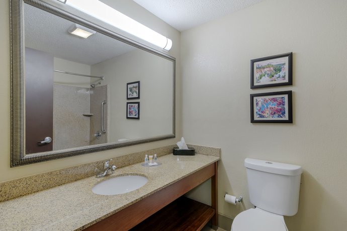 Imagen de la habitación del Hotel Comfort Suites Columbus State University Area. Foto 7