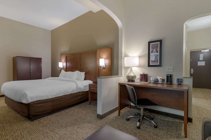 Imagen de la habitación del Hotel Comfort Suites Columbus State University Area. Foto 8