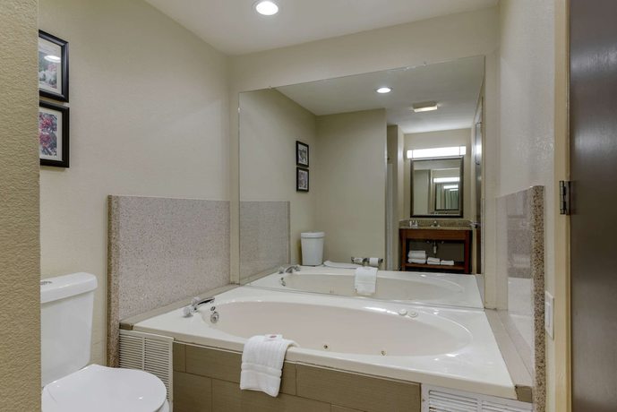 Imagen de la habitación del Hotel Comfort Suites Columbus State University Area. Foto 10