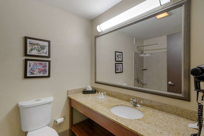 Imagen de la habitación del Hotel Comfort Suites Columbus State University Area. Foto 12