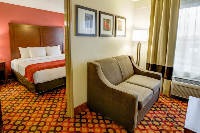 Imagen de la habitación del Hotel Comfort Suites Concord Mills. Foto 6