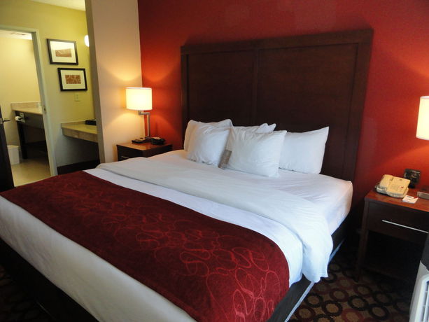 Imagen de la habitación del Hotel Comfort Suites Concord Mills. Foto 8