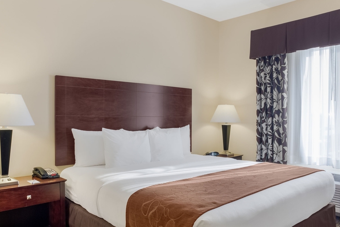 Imagen de la habitación del Hotel Comfort Suites Conference Center Rapid City. Foto 5