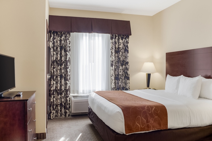 Imagen de la habitación del Hotel Comfort Suites Conference Center Rapid City. Foto 6