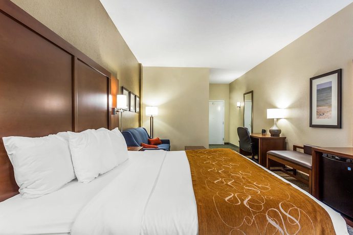 Imagen de la habitación del Hotel Comfort Suites, Conway. Foto 17