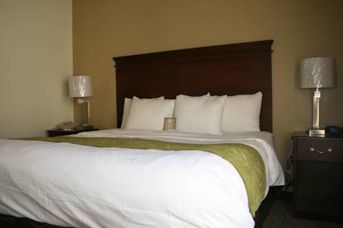Imagen de la habitación del Hotel Comfort Suites Cookeville. Foto 3