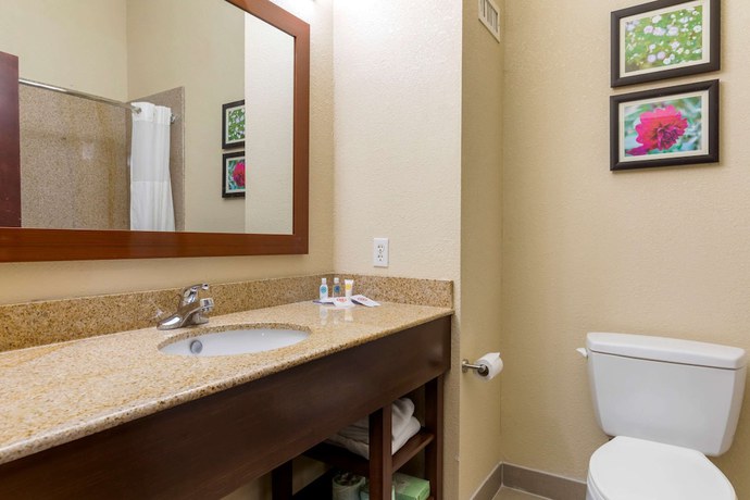 Imagen de la habitación del Hotel Comfort Suites, Copperas Cove . Foto 13